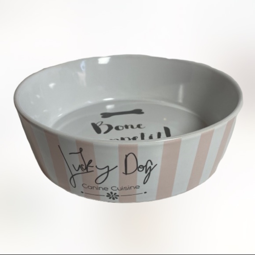 NWOT 10 Strawberry Street Lucky Dog Canine Cuisine Bone Appetit! Dog Bowl Dish